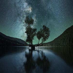 区块链专题-前言