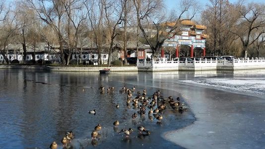 35姑射轶闻—掠燕湖&斗法