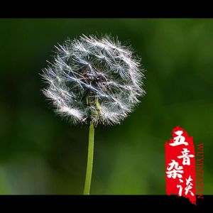 灵异向 | 婆婆丁诡事