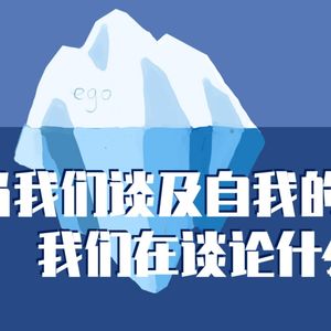 当我们谈及自我时，我们在谈论什么