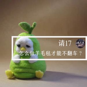 请17 - 怎么做羊毛毡才能不翻车？