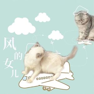 21集：开飞机的除了舒克，还有这样两位传奇英勇的姑娘|《风的女儿》
