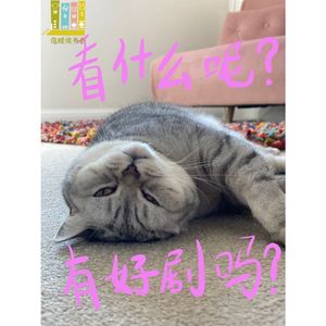 35集:老剧大盘点,这些经典你还记得吗?