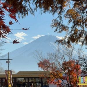 59集:饱暖信件交换,又是一年与书相伴