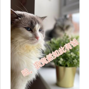 41集：长大后，我竟然成了小时候的大富翁