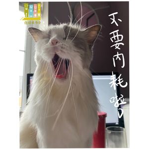 29集：除了二舅，还有什么能治好我们的精神内耗？