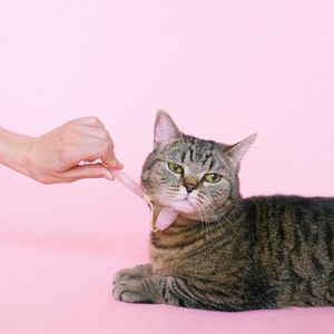 007 美国保险理疗包按摩