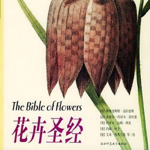 第六夜 《花卉圣经》这个世界很吵闹而我很孤独