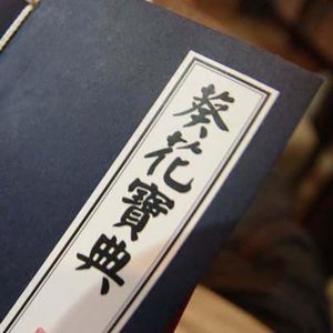 100 德国车的祖传秘方45欧元一本 对话嘉宾：Elaine滕磊，李青