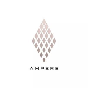 196 雷诺安培解散：开也成功，关也成功 对话嘉宾：王涵，Eric