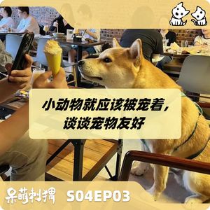 小动物就应该被宠着！谈谈宠物友好