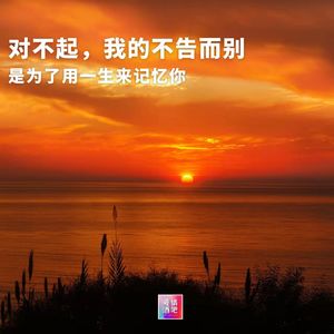 对不起，我的不告而别，是为了用一生来记忆你