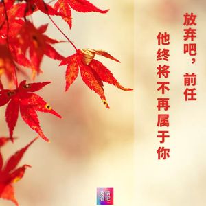 放弃吧,前任,他终将不再属于你