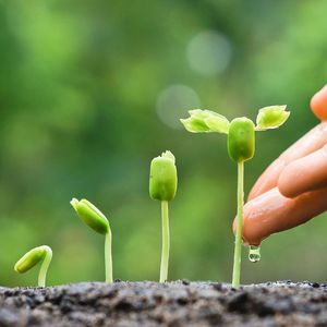 【直播】一档播客如何让生活更有生命力？