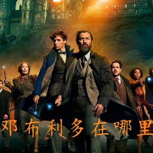 哈利波特yyds!用魔法打败魔法!|《神奇动物在哪里》