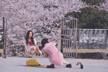 17 珞珈记：武大的樱顶煎饺、文学和恋爱，春夏秋冬又一春