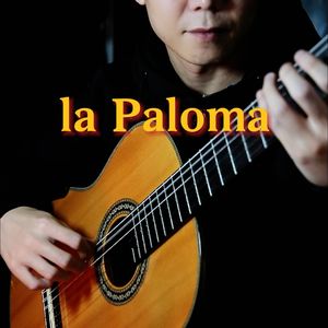 La paloma 鸽子