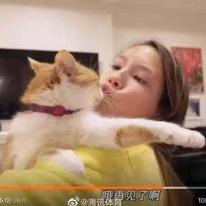 终于有奥运冠军谷爱凌同款了，上海猫^ω^哈哈！