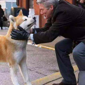 MC访谈008(4):一只每天接送主人上下班的猫咪,和猫弟弟之间争宠的故事