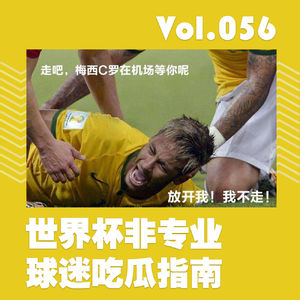世界杯非专业球迷吃瓜指南