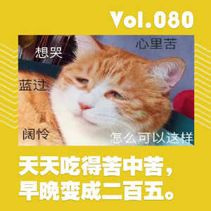 天天吃得苦中苦，早晚变成二百五