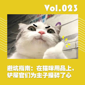 避坑指南：在猫咪用品上，铲屎官们为主子操碎了心