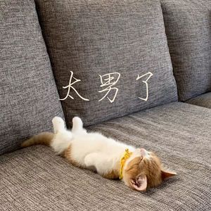 026:人啊,你凭啥躺平