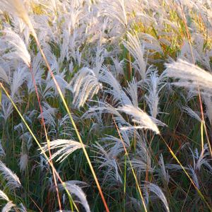 47: VC的春秋大梦:和明浩聊聊基金和创业的困境 | 串台《屠龙之术》