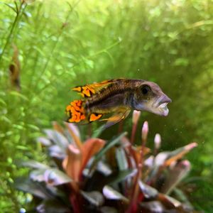 32: 最怕客户来参观的行业：和谈三圈仔细谈谈芯片