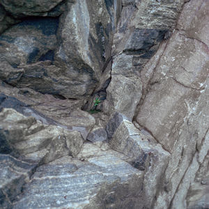 34: 开始用上 AIGC 的艺术家：和 Tianxi/轶轩一起聊文生图
