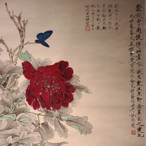 75.枣林前街与老北京牡丹赏花打卡地～极乐寺