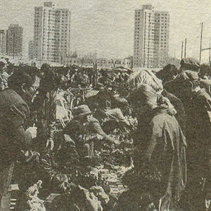 79.包邮的砖窑场，慈禧的狐狸皮草，潘家园旧货市场的前世今生