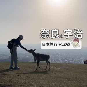 EP44. 日本关西独行（中）：本次行程之最是奈良和宇治！