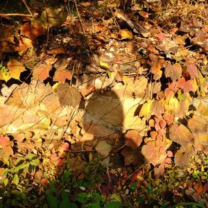 Vol.15 嘿，我这爆脾气！改如果很难，其实不改也行