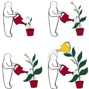 【Q&A】在不确定中，养出确定的自己