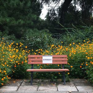 Vol.18 当我们仍在欢聚时，来谈谈那场必然到来的告别