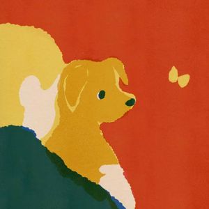 86. 宠物酒店老板飞飞：走下讲台，我在狗窝里活出心流