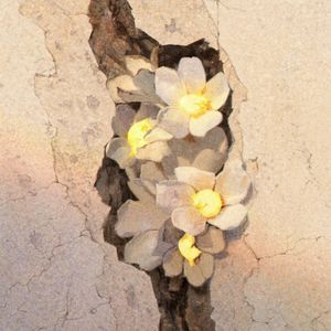 94. 她的灵魂千疮百孔，却带着我成为勇敢的人