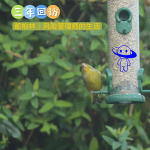 【三年回访】都柏林|风险管理师的生活