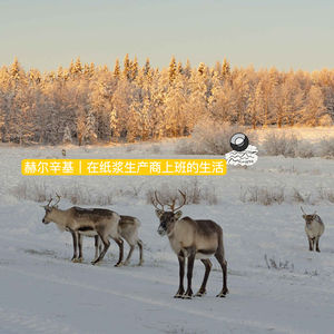 49:赫尔辛基|在纸浆生产商上班的生活