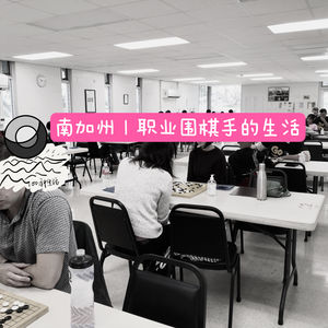 42:南加州｜职业围棋手的生活