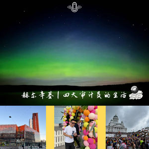 53:赫尔辛基|四大审计员的生活