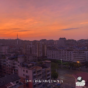 32: 泸州|越南河粉店主的生活