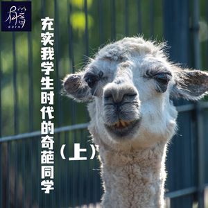 充实我学生时代的奇葩同学(上)