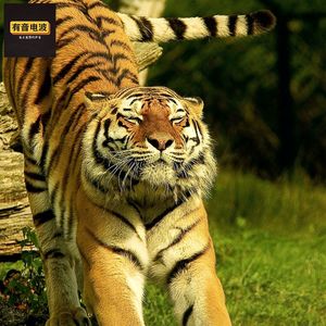 普通且自信的人最会忽悠人和吹牛皮！