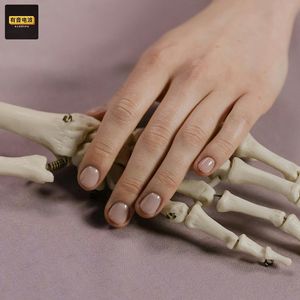 【特别诡遇】四角游戏玩出这么恐怖的事！废弃游乐园的探险队、床底下看见龙头