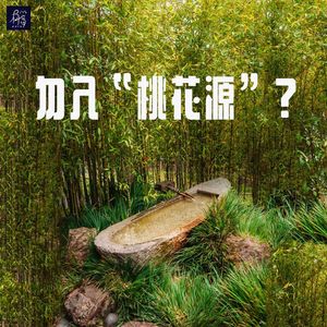 青天白日勿入异境，《桃花源记》重现？