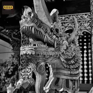 西藏“死人沟”遇龙事件、山林中的巨大神秘生物、公鸡救人、恶犬变乖、诡异的SD娃娃