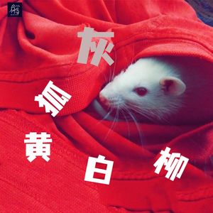 路过家宅的灰大仙,只吓人,没害人