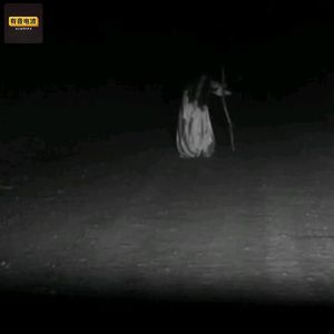 白衣女鬼、拦路匪患，湖南耒阳107 国道，父亲的深夜恐怖奇遇
